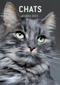 Chats - Agenda 2023