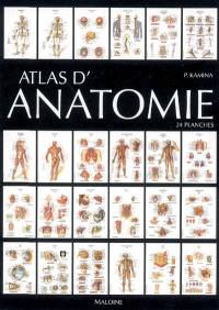 Atlas d'anatomie : 24 planches