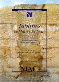 Jablines : le Haut-Château, Seine-et-Marne : une minière de silex au néolithique