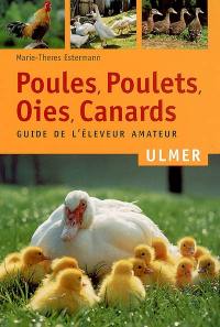 Poules, poulets, oies, canards