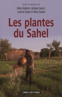 Les plantes du Sahel : usages et enjeux sociaux