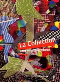 La collection, Musée d'art moderne, Saint-Etienne