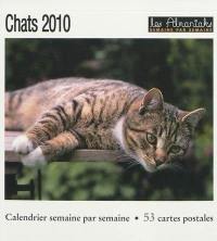 Chats 2010 : calendrier semaine par semaine : 53 cartes postales