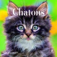 Chatons : calendrier 2023