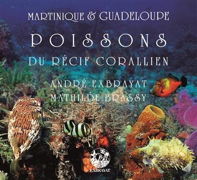 Martinique & Guadeloupe : merveilles du récif corallien. Vol. 3. Les poissons
