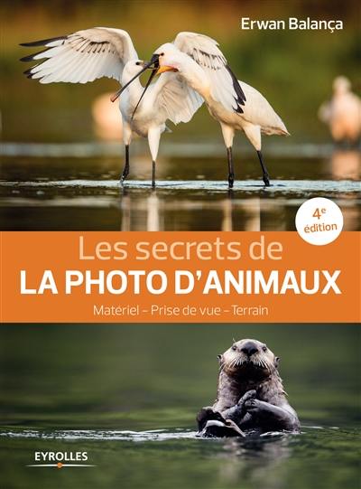Les secrets de la photo d'animaux : matériel, prise de vue, terrain