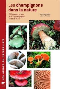 Les champignons dans la nature : 230 espèces et plus de 300 photographies couleurs in-situ