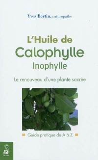 L'huile de calophylle inophylle : le renouveau d'une plante sacrée