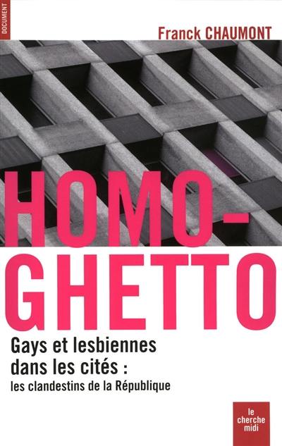 Homo-ghetto : gays et lesbiennes dans les cités : les clandestins de la République