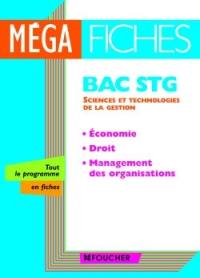 Bac STG sciences et technologies de la gestion : économie, droit, management des organisations
