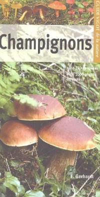 Guide Vigot des champignons : plus de 1200 espèces, plus de 1000 photos couleurs
