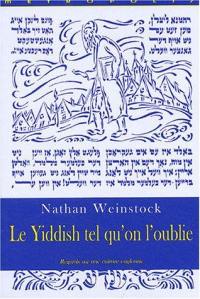 Le yiddish tel qu'on l'oublie : regards sur une culture engloutie