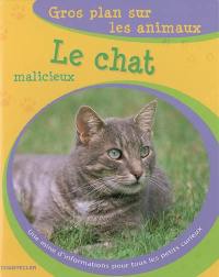 Le chat malicieux : une mine d'informations pour tous les petits curieux