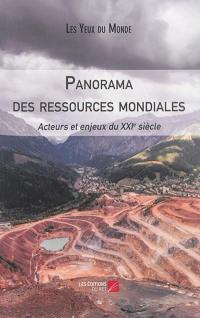 Panorama des ressources mondiales : acteurs et enjeux du XXIe siècle
