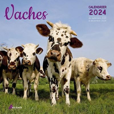 Vaches : calendrier 2024 : de septembre 2023 à décembre 2024