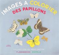 Images à colorier des papillons