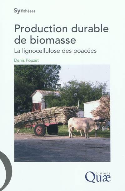 Production durable de biomasse : la lignocellulose des poacées