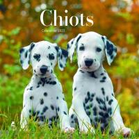 Chiots : calendrier 2023