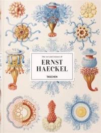 The art and science of Ernst Haeckel