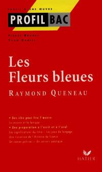 Les fleurs bleues, Raymond Queneau