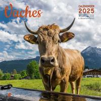 Vaches : calendrier 2025 : de septembre 2024 à décembre 2025