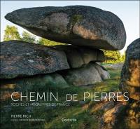 Chemin de pierres : roches et mégalithes de France