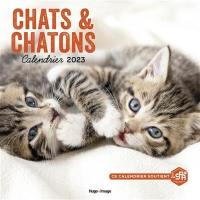Chats & chatons : calendrier 2023
