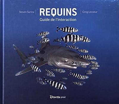 Requins, guide de l'interaction