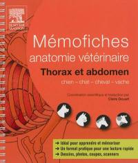 Mémofiches anatomie vétérinaire : thorax et abdomen : chien, chat, cheval, vache