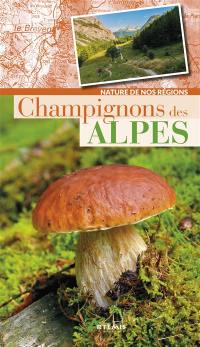 Champignons des Alpes