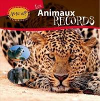 Les animaux records