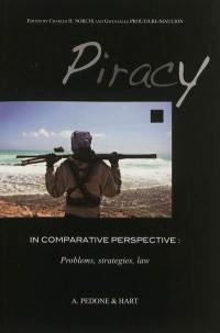 Piracy in comparative perspective : problems, strategies, law