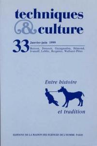 Techniques & culture, n° 33. Entre histoire et tradition