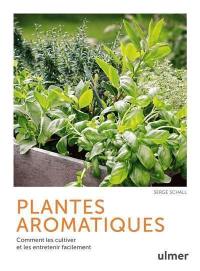 Plantes aromatiques : comment les cultiver et les entretenir facilement
