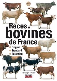 Races bovines de France : origine, standard, sélection