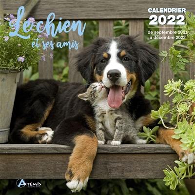 Le chien et ses amis : calendrier 2022 : de septembre 2021 à décembre 2022
