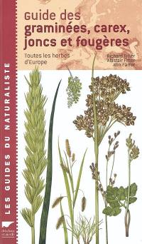 Guide des graminées, carex, joncs et fougères : toutes les herbes d'Europe