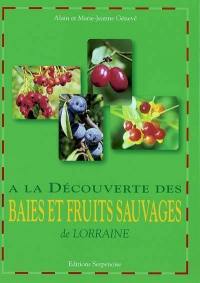 A la découverte des baies et fruits sauvages de Lorraine