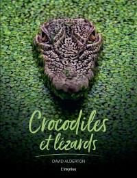 Crocodiles et lézards