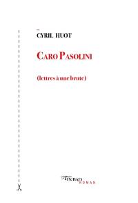 Caro Pasolini : lettres à une brute