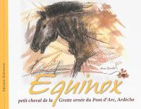 Equinox : petit cheval de la grotte ornée du Pont d'Arc, Ardèche
