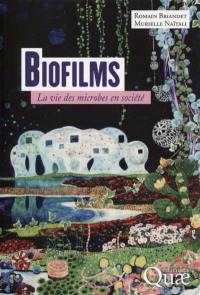 Biofilms : la vie des microbes en société