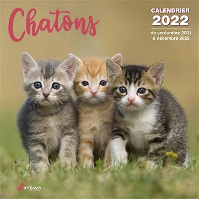 Chatons : calendrier 2022 : de septembre 2021 à décembre 2022