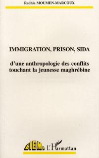 Immigration, prison, sida : d'une anthropologie des conflits touchant la jeunesse maghrébine
