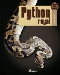 Python royal : Python regius