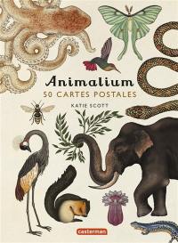 Animalium : 50 cartes postales