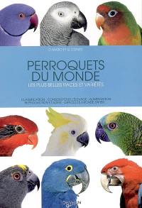 Perroquets du monde : les plus belles races et variétés