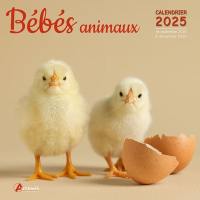 Bébés animaux : calendrier 2025 : de septembre 2024 à décembre 2025
