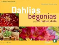 Dahlias, bégonias et autres bulbes d'été