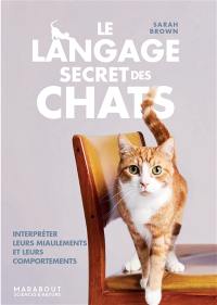 Le langage secret des chats : interpréter leurs miaulements et leurs comportements